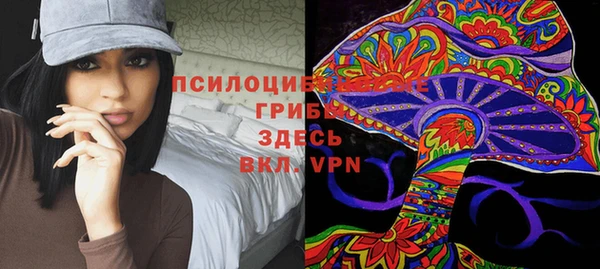марки nbome Заводоуковск