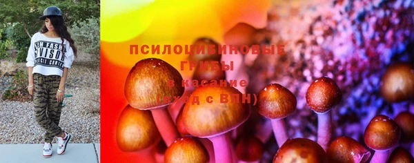 марки nbome Заводоуковск