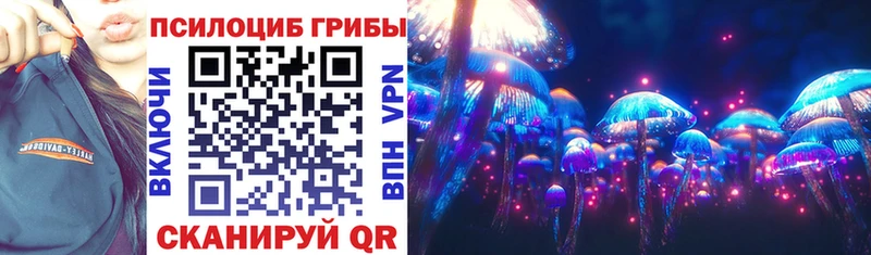 Купить где  Гудермес  Галлюциногенные грибы GOLDEN TEACHER 